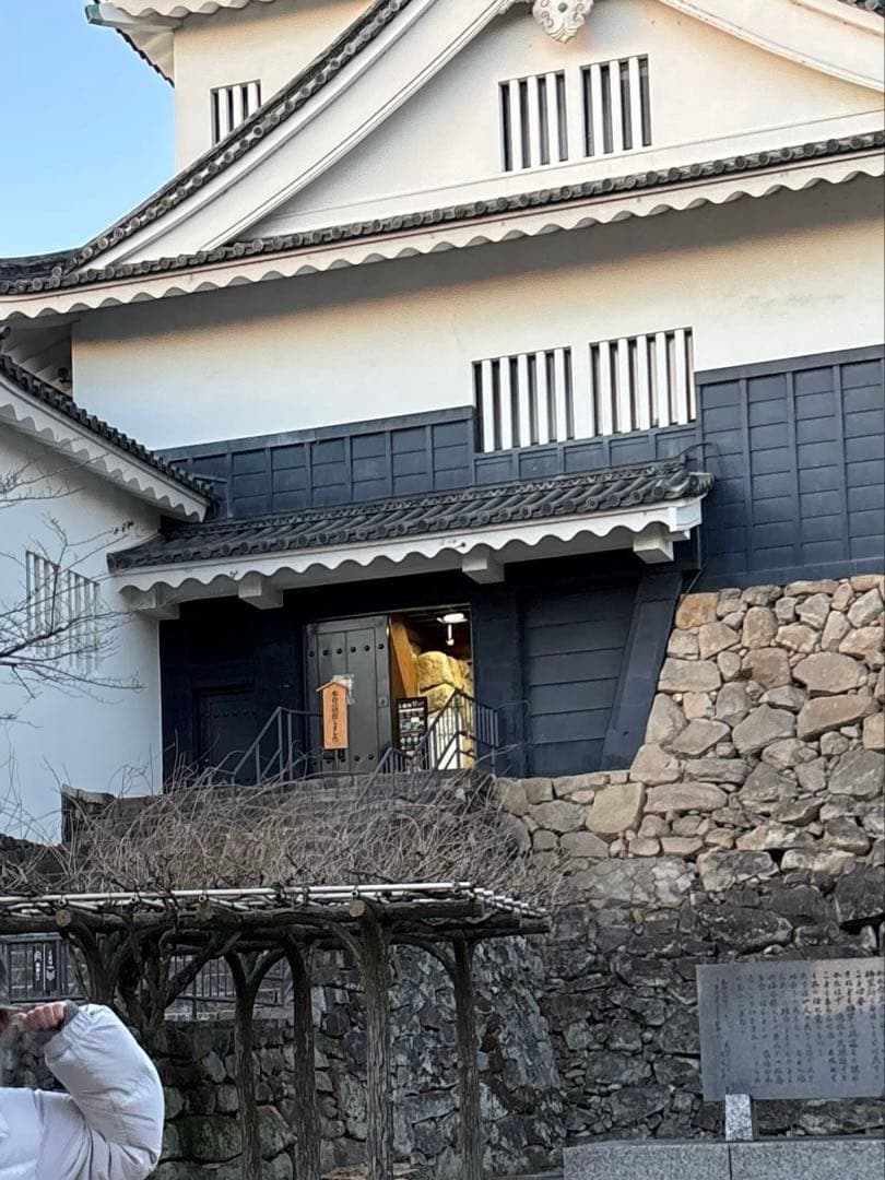 nana 通常盤26枚 KCONLAポラロイド