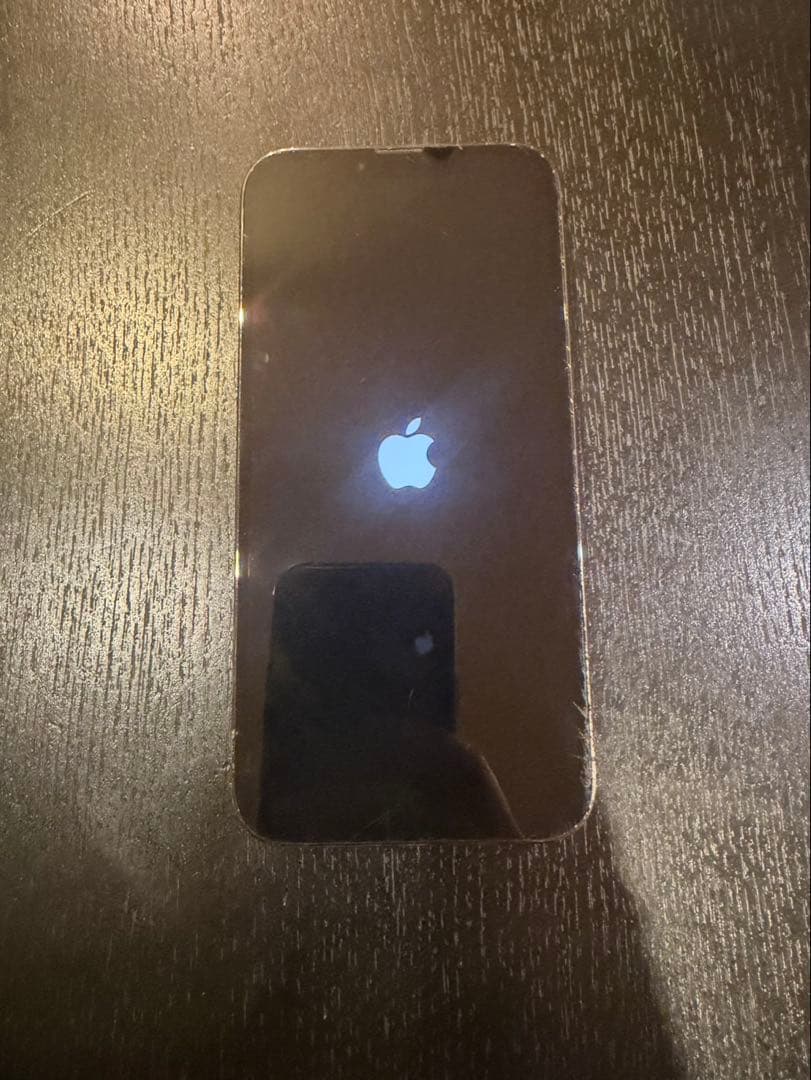 iPhone 13 Pro Max 本体 充電ケーブル付き 画面端　ヒビあり