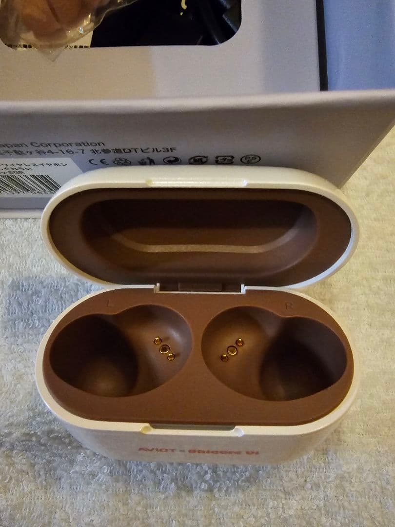 【美品】AVIOT×しぐれうい 完全ワイヤレスイヤホン TE-D01v-SGR