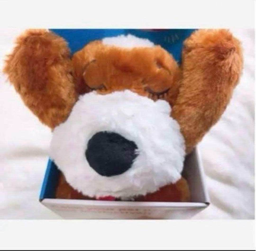 オ-エフティ- コンパニマル ブルドック