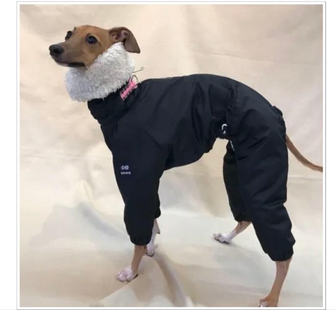 grindog グラインドッグ イタグレ イタリアングレーハウンド スノースーツ