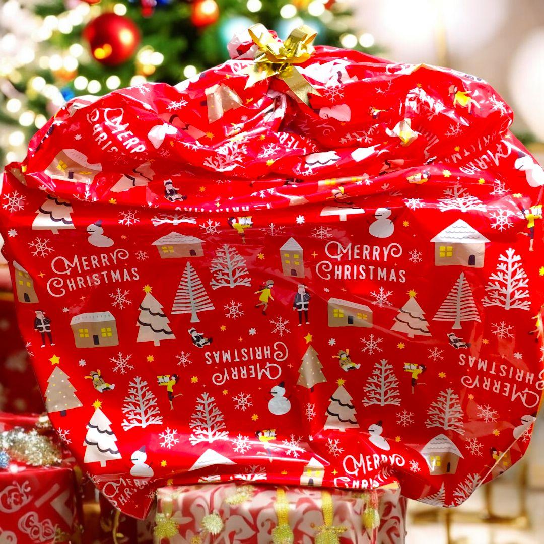 新品未開封 初回版 トミカ ツインコース やまみちドライブ スペシャルトミカ付き