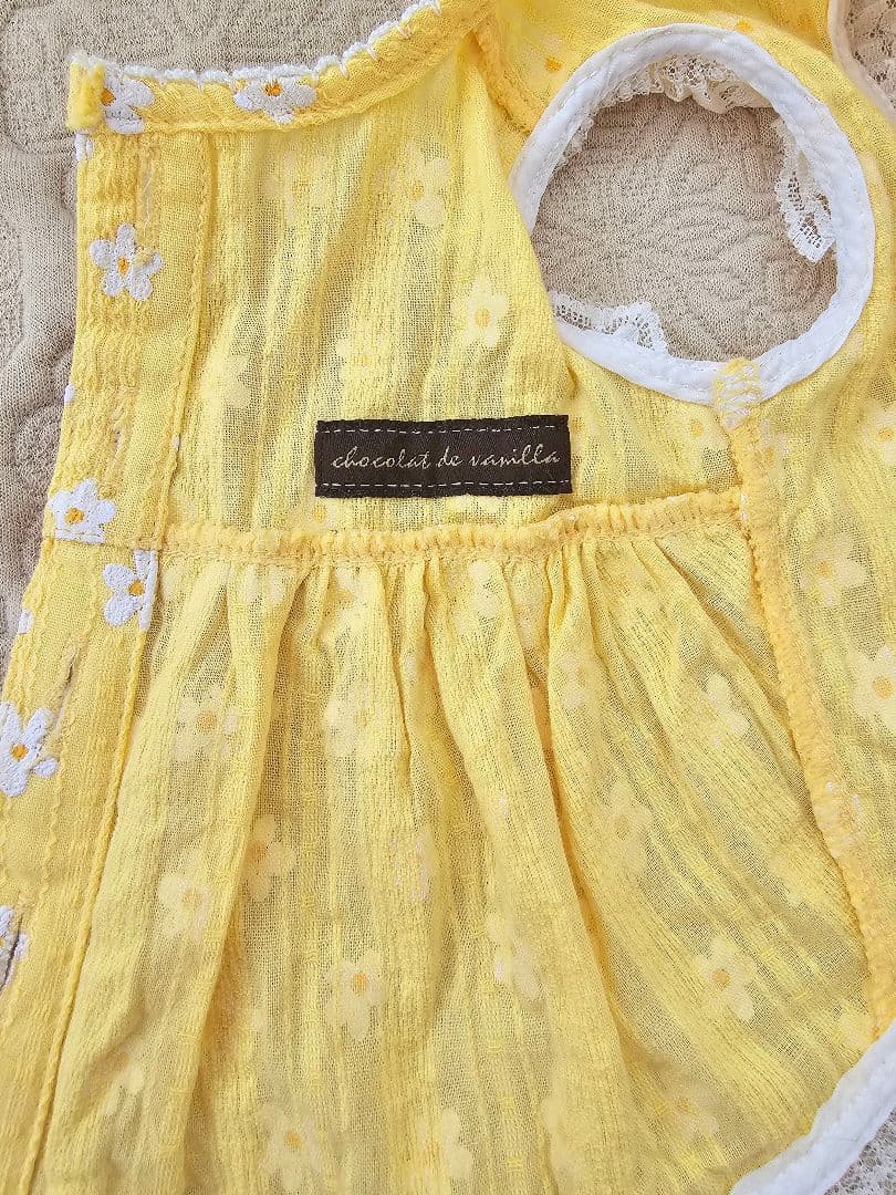 アトリエgg シークワーサーの花(イエロー)