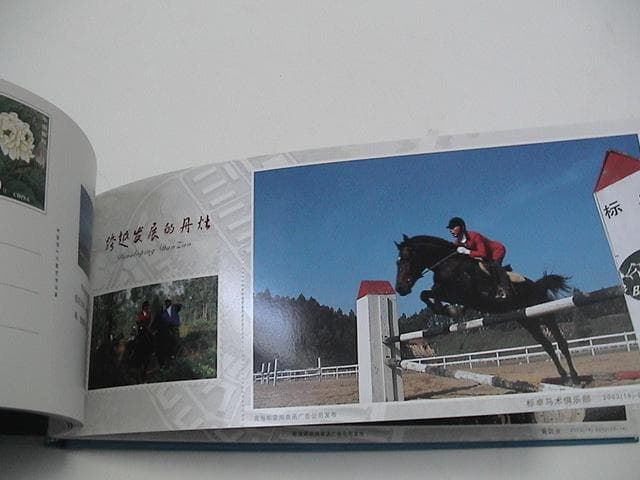 ChINA 中国 60分付明信片 絵葉書 切手付 ポストカードブック 仏山市