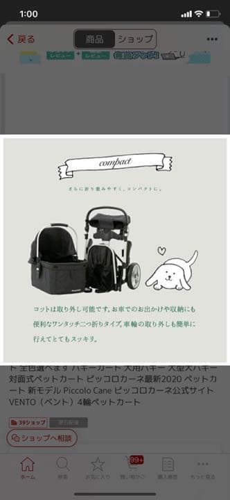 ピッコロカーネベント