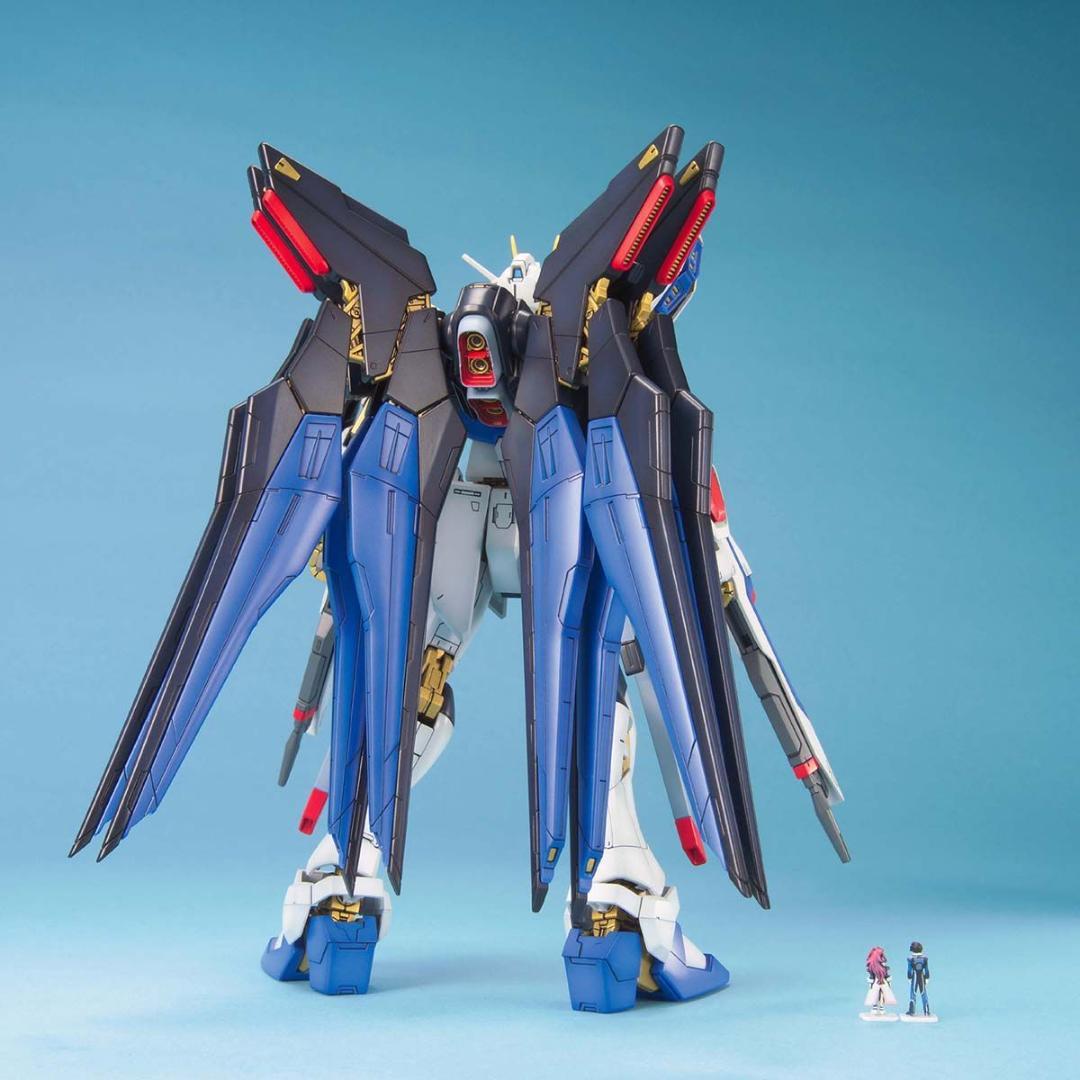 【2品セット】MG デスティニーガンダム／ストライクフリーダム【新品未開封】