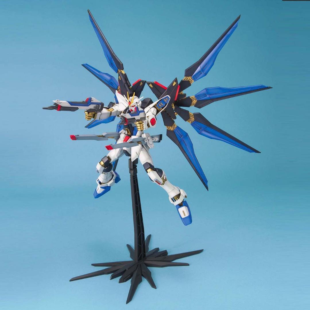 【2品セット】MG デスティニーガンダム／ストライクフリーダム【新品未開封】