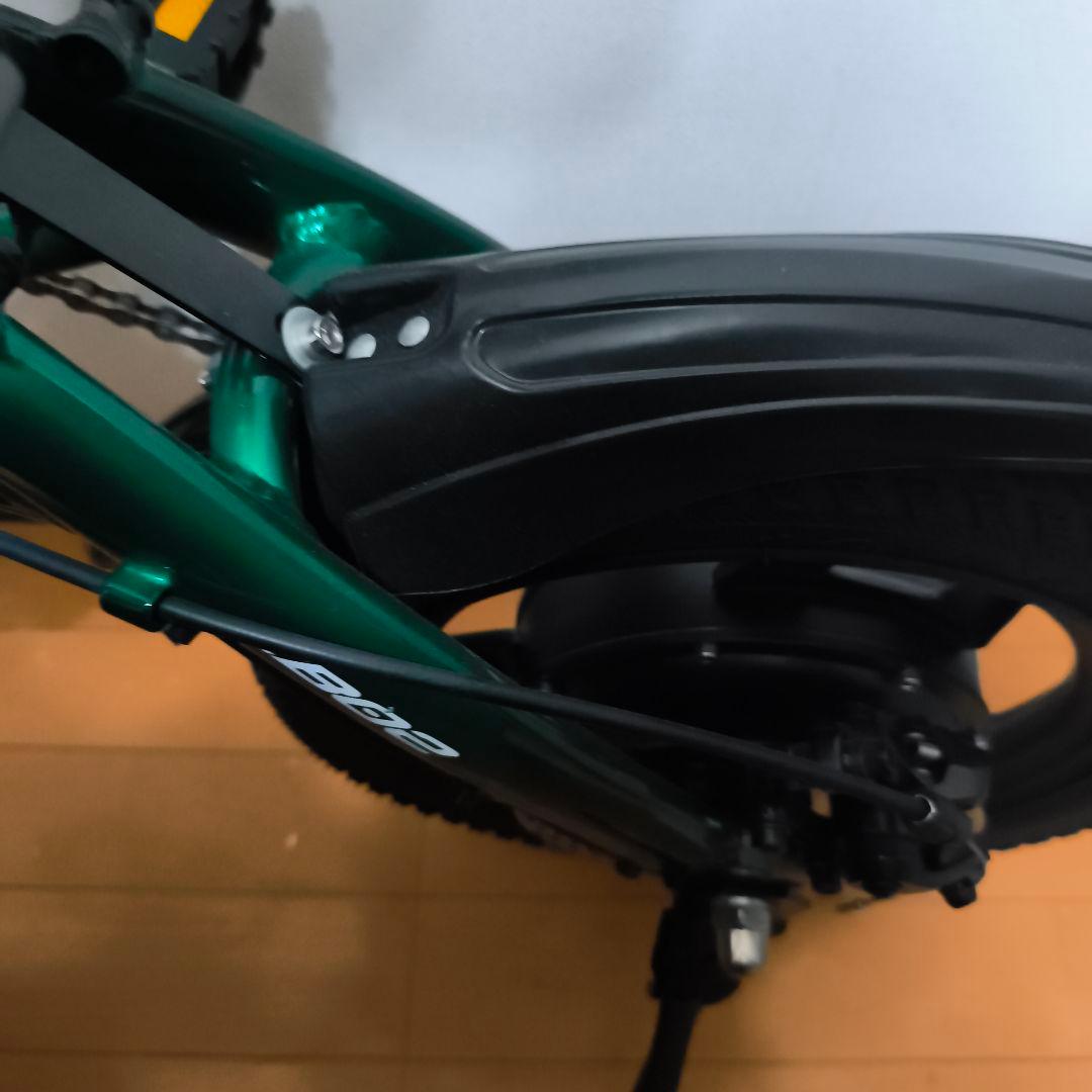 Ripwheast 電動アシスト自転車 グリーン