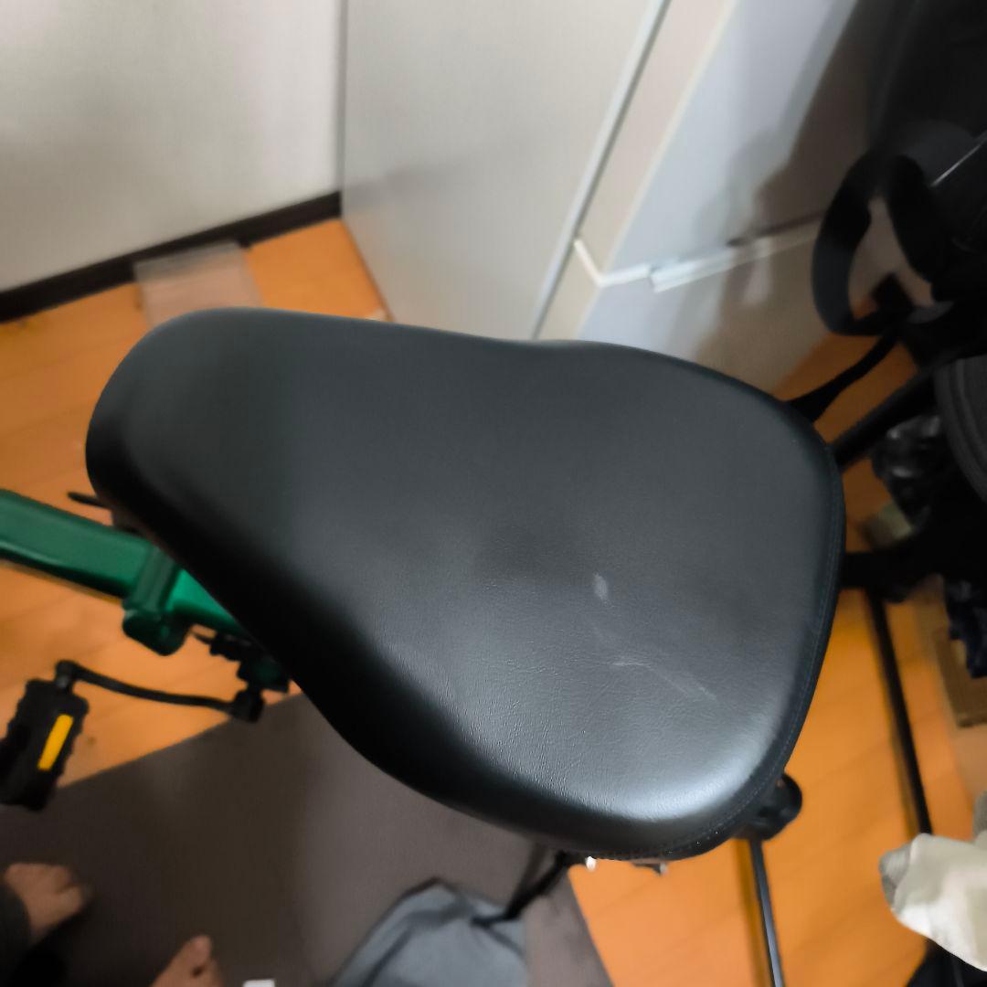 Ripwheast 電動アシスト自転車 グリーン