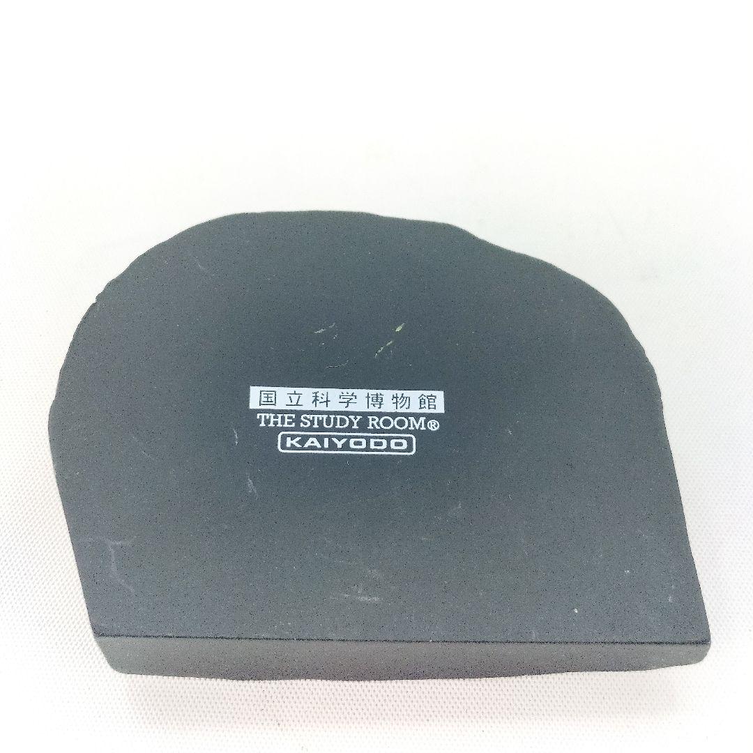 国立科学博物館 三葉虫 セロウリネラ フィギュア 海洋堂 限定