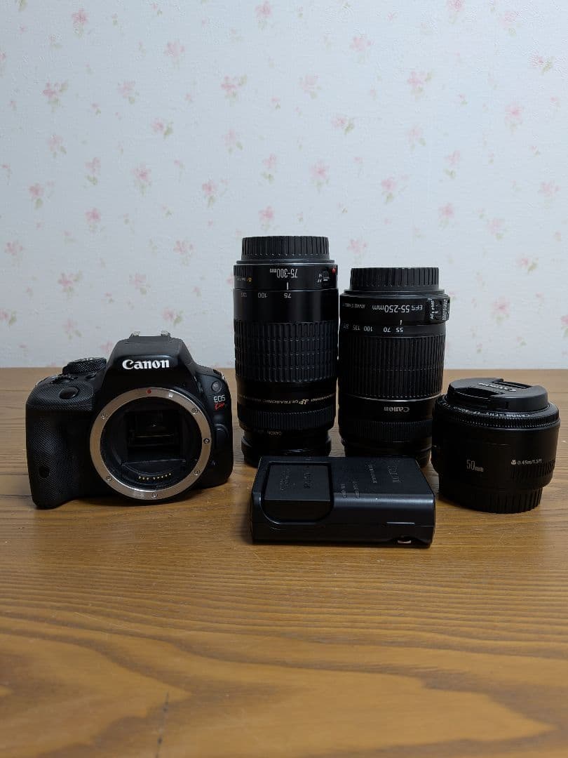 Canon EOS デジタル一眼レフカメラセット