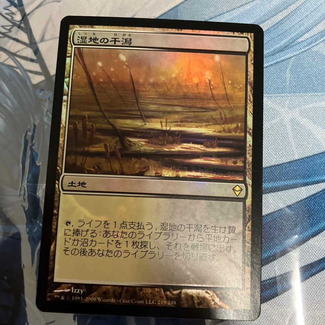 MTG 湿地の干潟