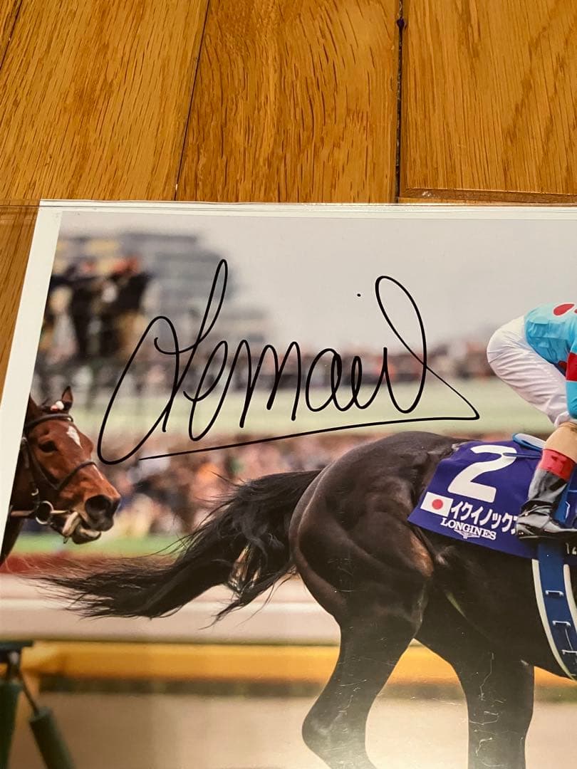 イクイノックス　鬣　たてがみ　2023ジャパンカップ　C・ルメール騎手直筆サイン