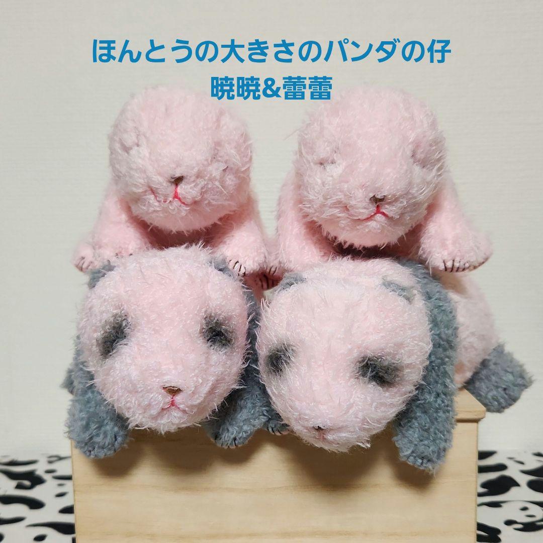 上野動物園　ほんとうの大きさのパンダの仔　シャオシャオ　レイレイ　ぬいぐるみ