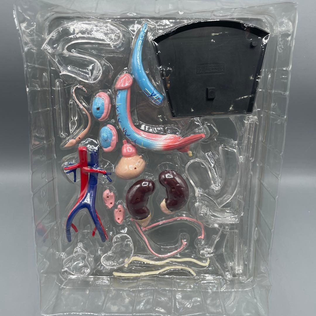 3点セット スカイネット 立体パズル 4D VISION 人体解剖