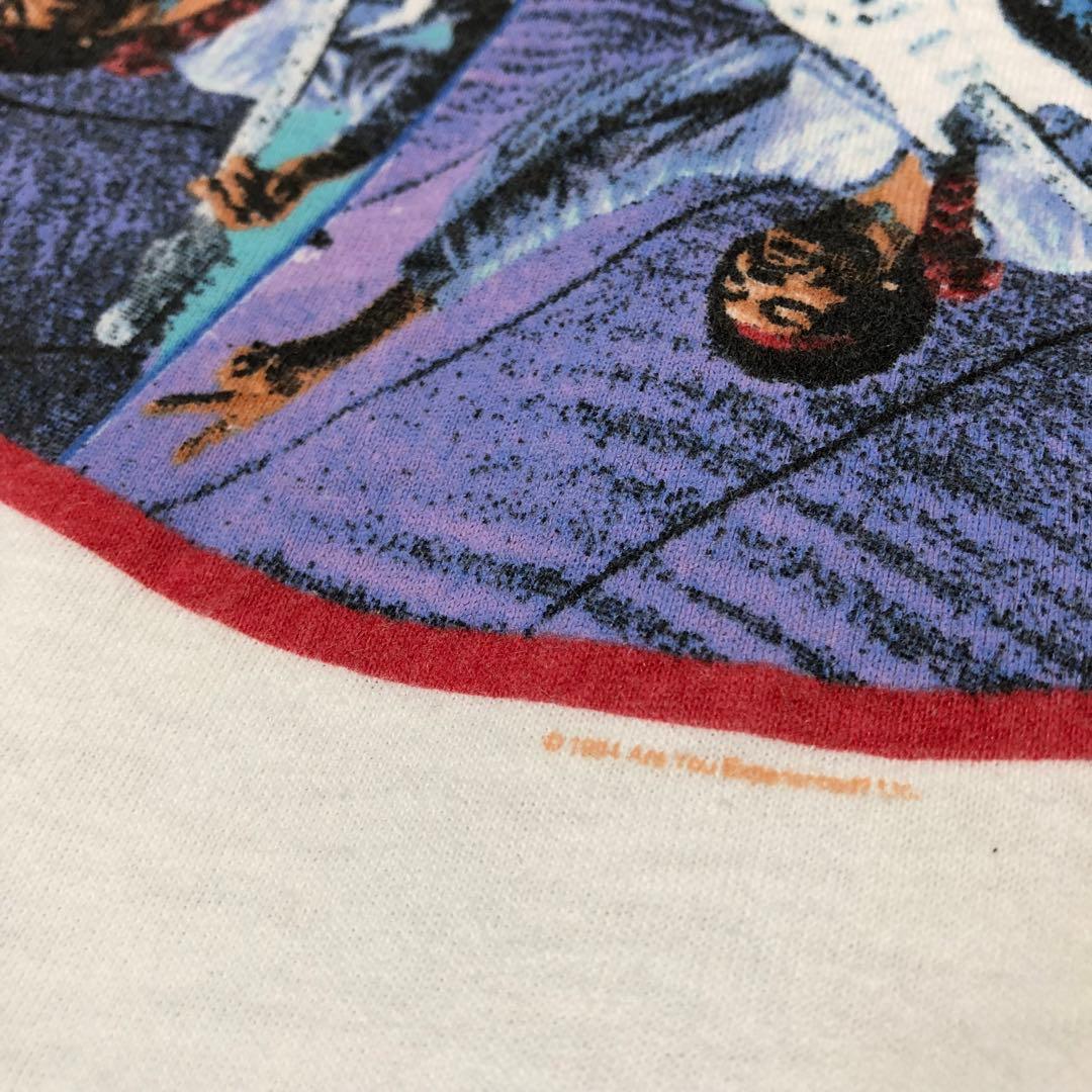 JIMI HENDRIX tシャツ ビンテージ ジミヘン 白 L Hanes