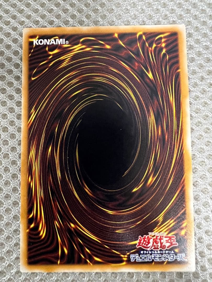 わ*な様 遊戯王 青眼の白龍 ブルーアイズホワイトドラゴン レリーフ レリブル