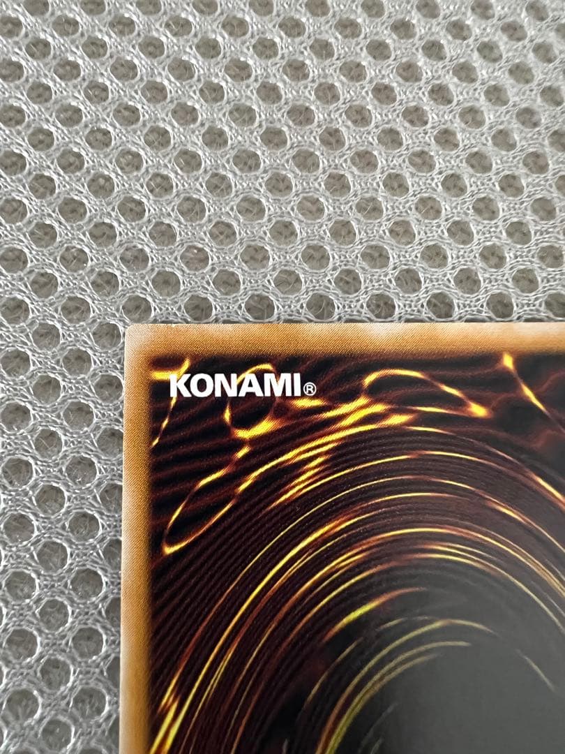 わ*な様 遊戯王 青眼の白龍 ブルーアイズホワイトドラゴン レリーフ レリブル