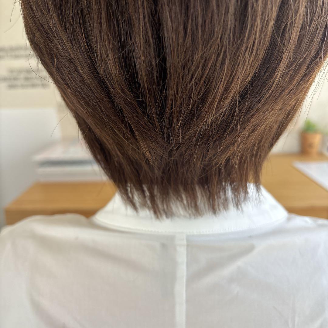 《半手植え　レミーヘアウィッグ》ナチュラルブラック　分け目リアルスキン