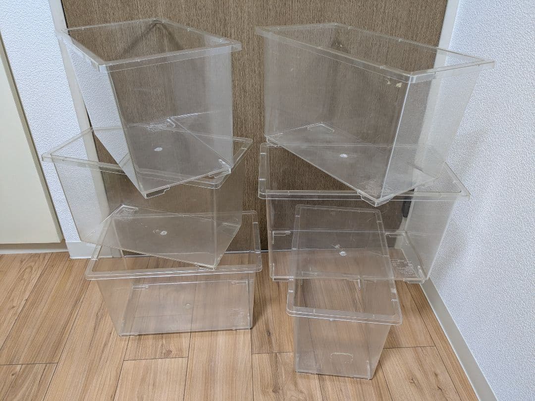 中古コバエシャッター大6 中6 小2