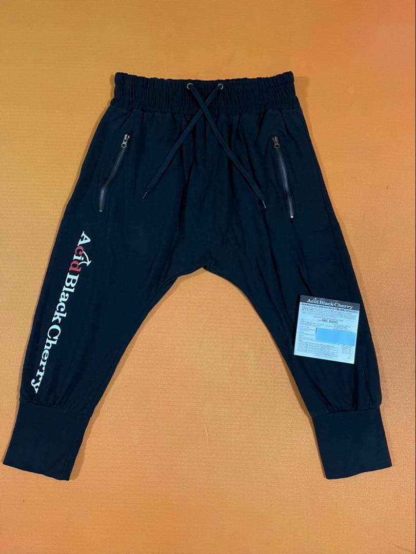 【Acid black Cherry web限定 setupメンズ】 シリアル付