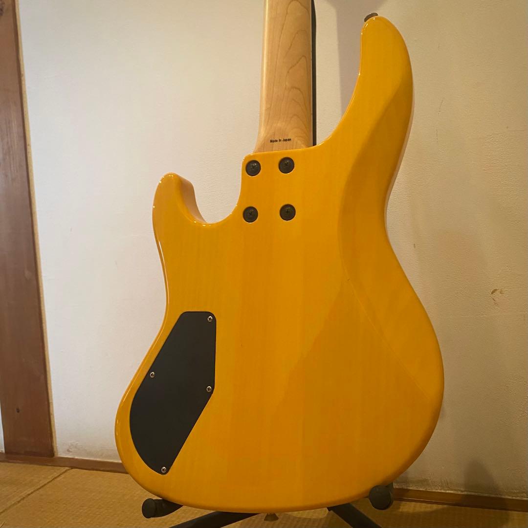 ベース ATELIER Z Buddy of Life