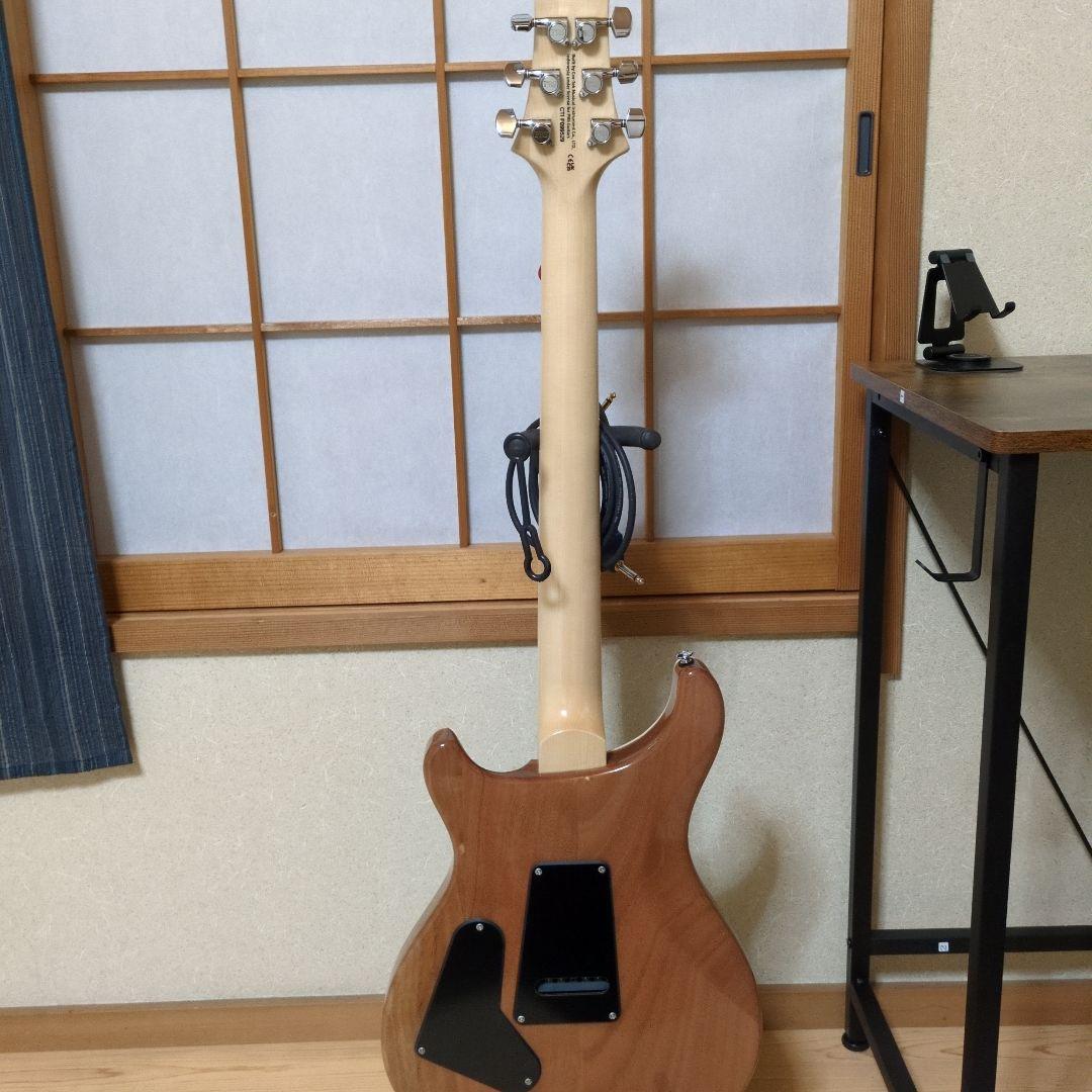 と*ぐ様 PRS SE Custom グリーン エレキギター
