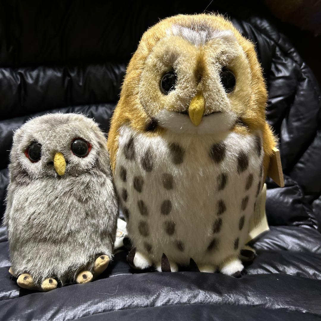 KOSEN ぬいぐるみ　モリフクロウ　親子　タグ付き❣️