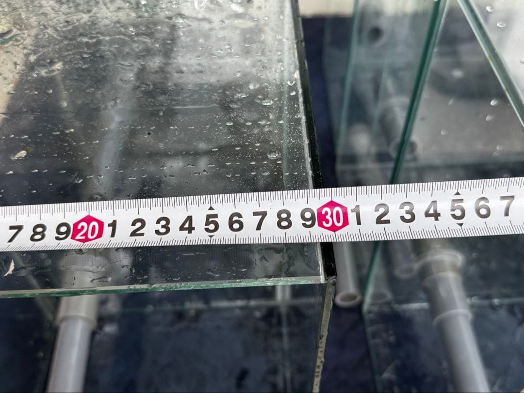 水槽　ガラス製　6個セット