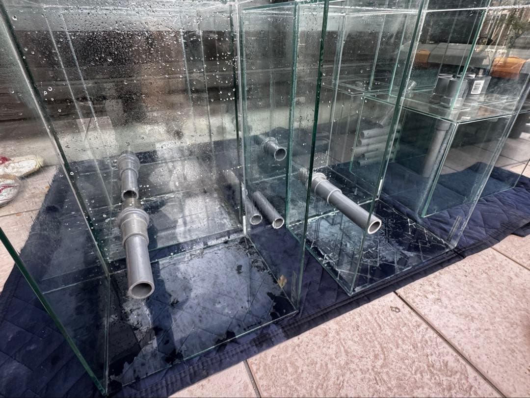 水槽　ガラス製　6個セット