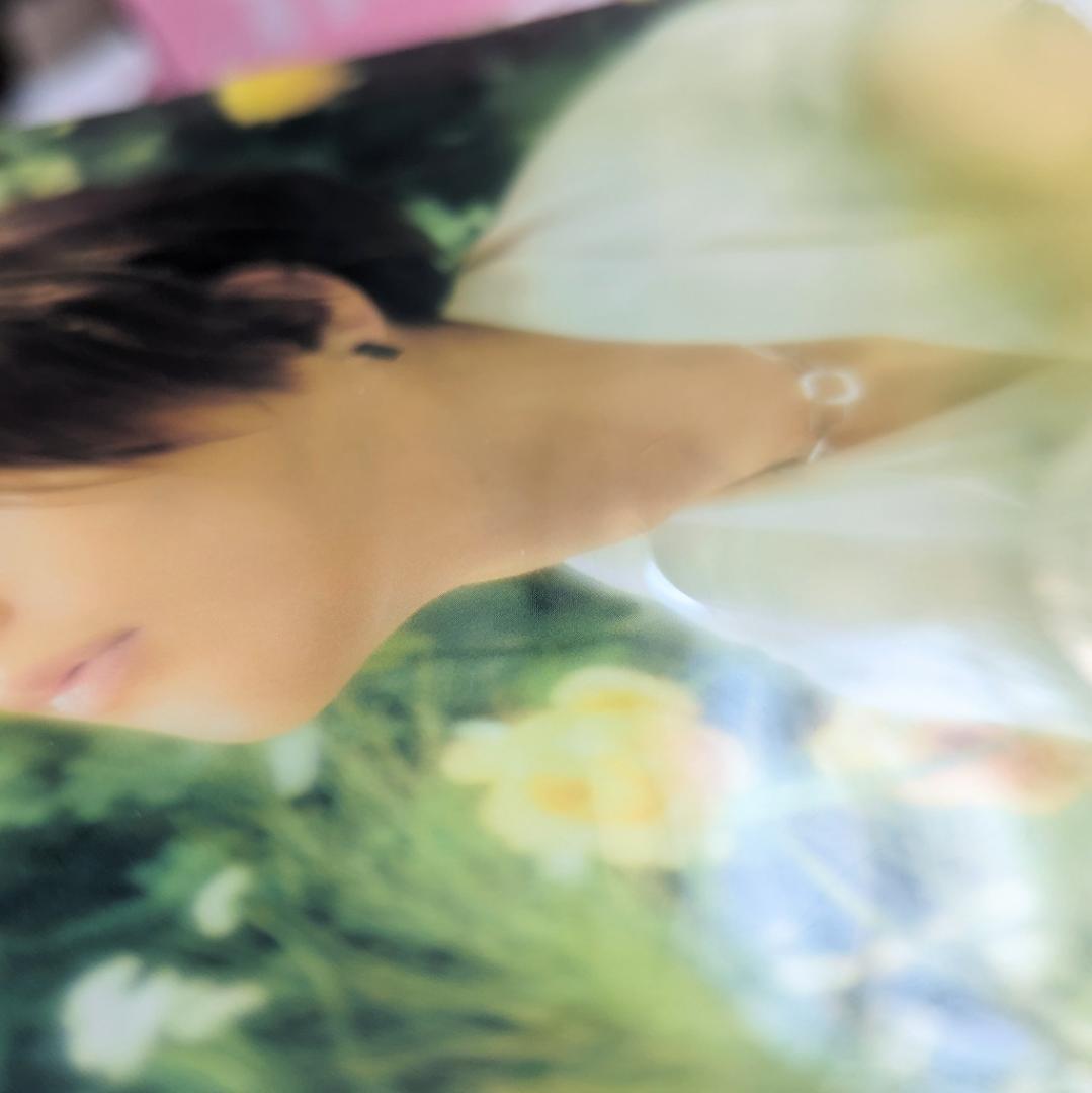 美しい彼セット 小説劇場版帯 入場特典 7net写真集 genic. ドラマCD