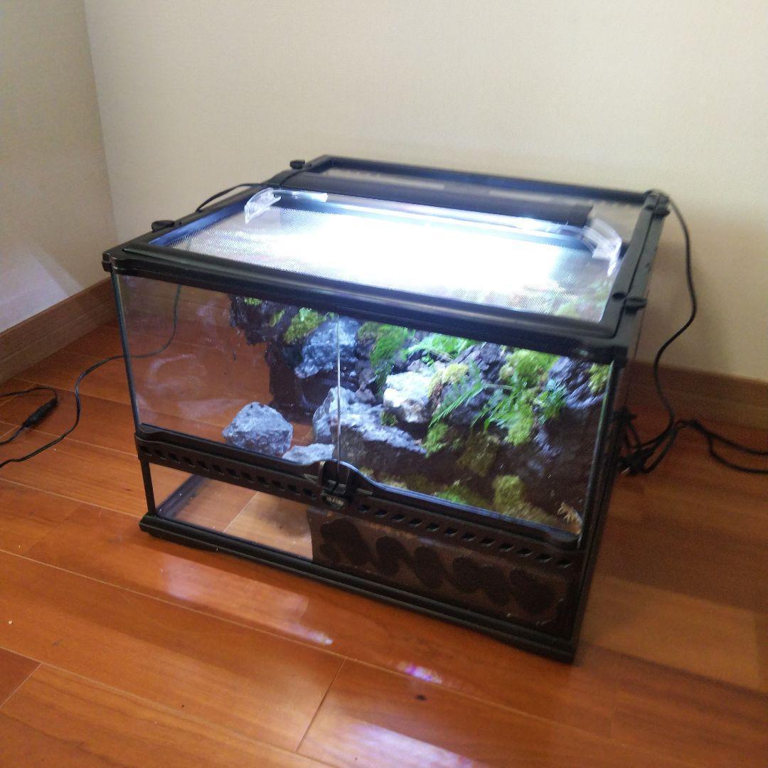 【受注生産】滝のあるアクアテラリウム　グラステラリウム 4530イモリウム