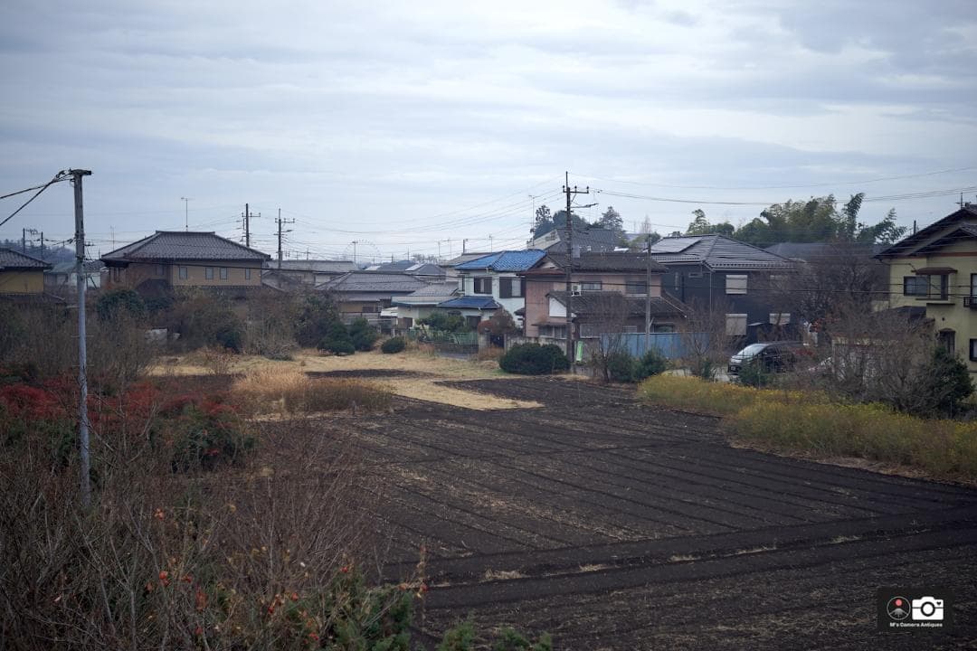 希少Topcor50mm F/3.5 東京光学 ライカＬ３９レンズ整備済２