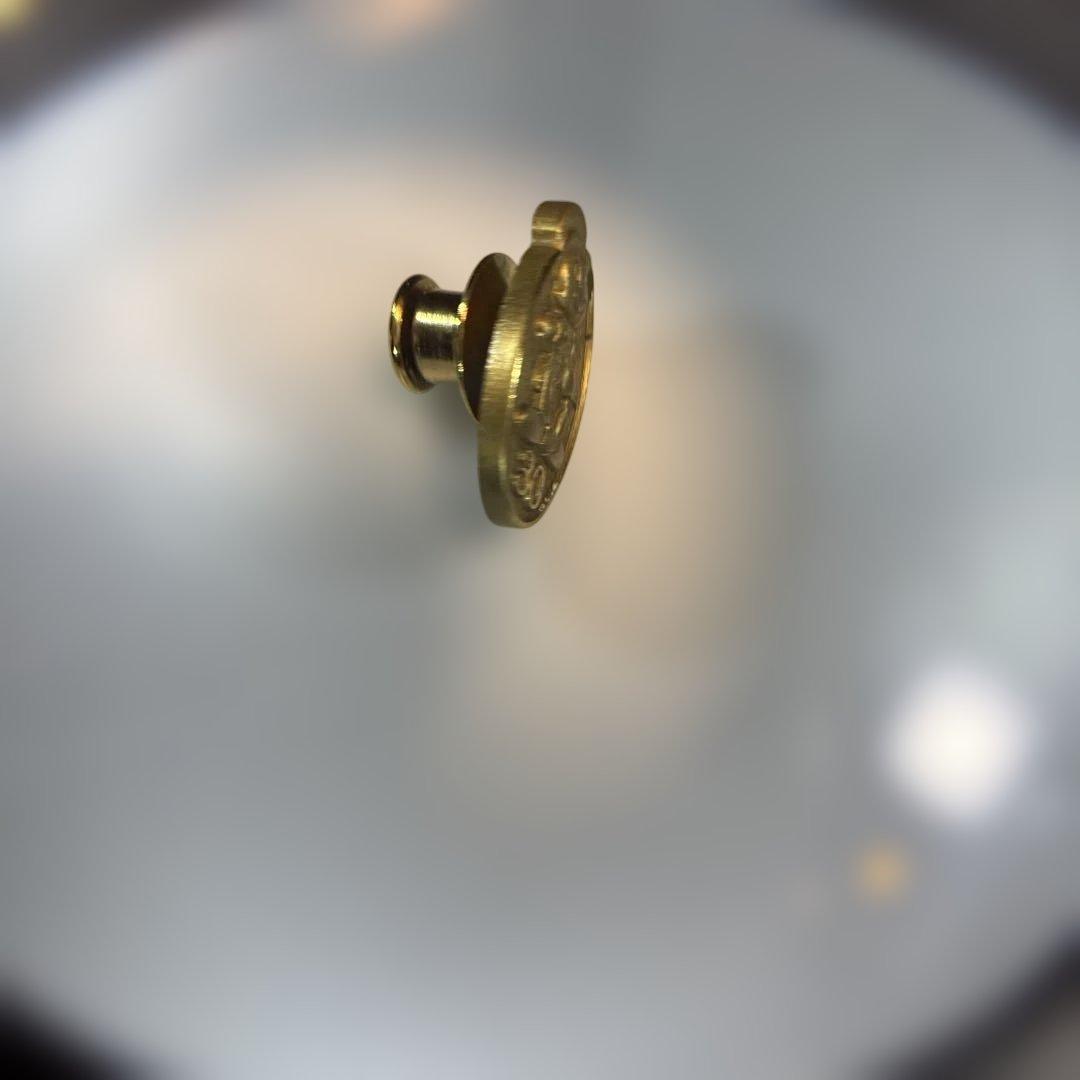 激レア　ディズニー キャスト 勤続30年 記念ピンバッジ ジミニークリケット