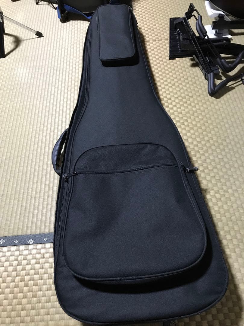 HIDEモデル FERNANDES MG-100X アメーバペイズリーペイント