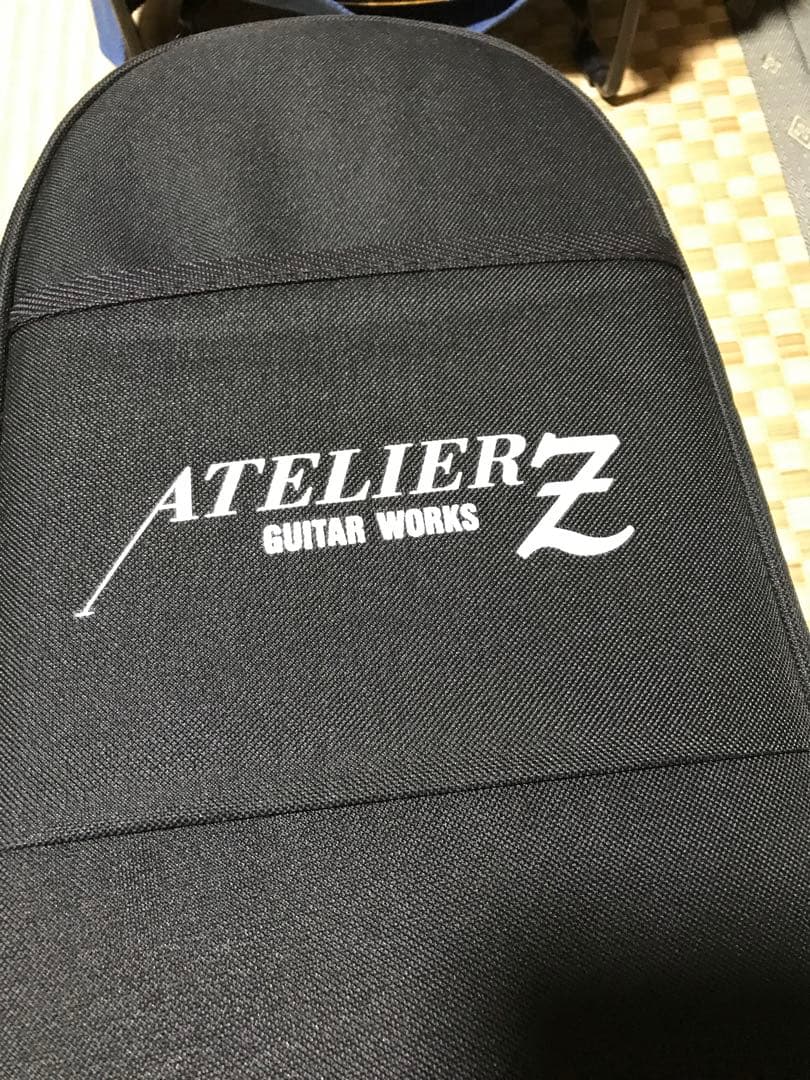 HIDEモデル FERNANDES MG-100X アメーバペイズリーペイント