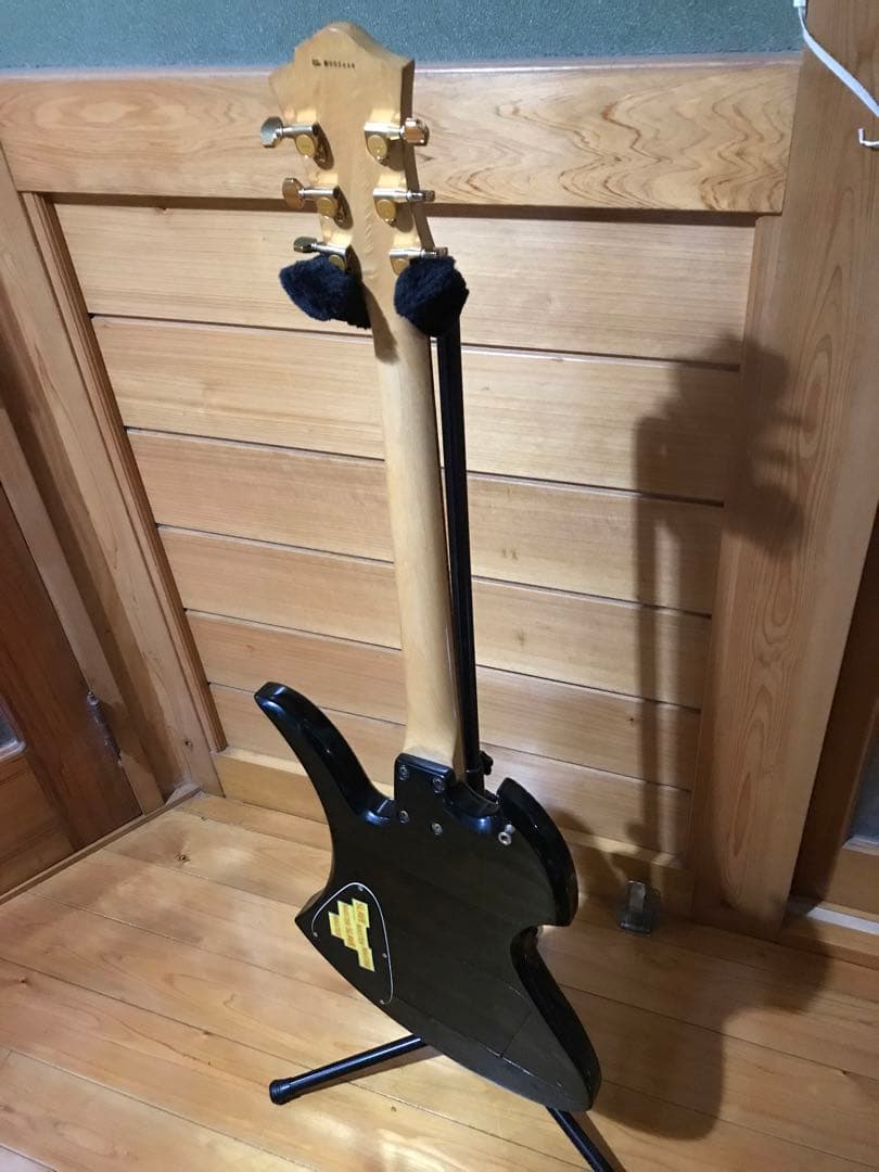 HIDEモデル FERNANDES MG-100X アメーバペイズリーペイント