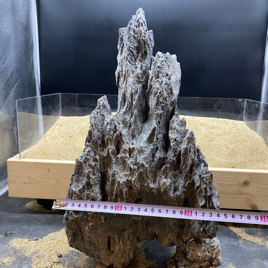 MSS-6640 セレクト品青龍石46cm親石　龍王石　竜王石