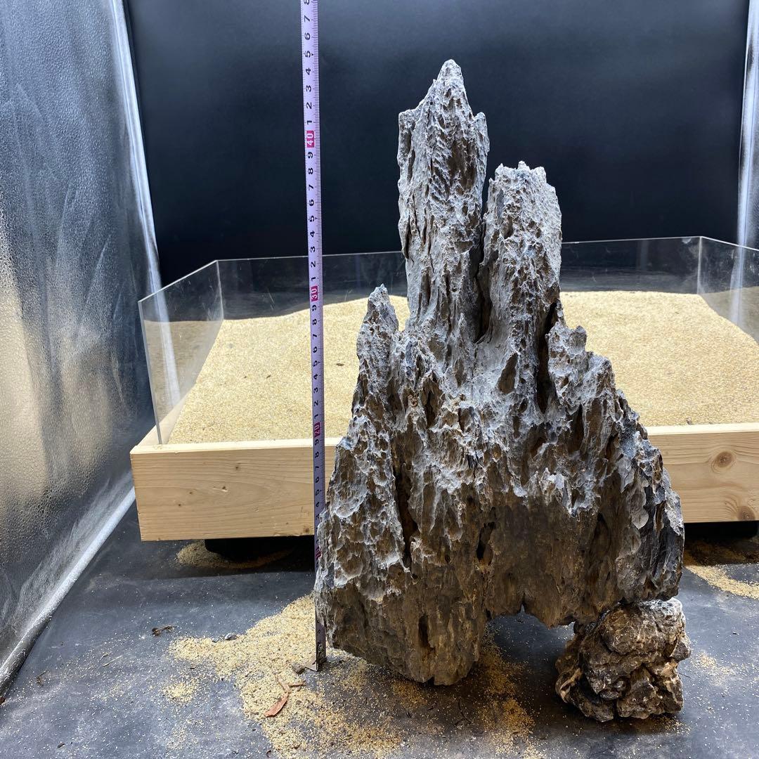 MSS-6640 セレクト品青龍石46cm親石　龍王石　竜王石