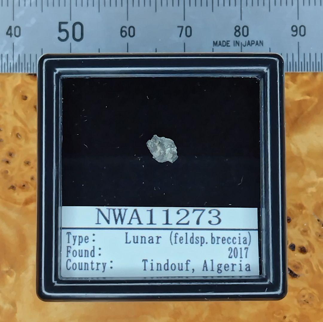 ✨スペシャルレア!　＊月の石＊　月から来たＮＷＡ11273隕石