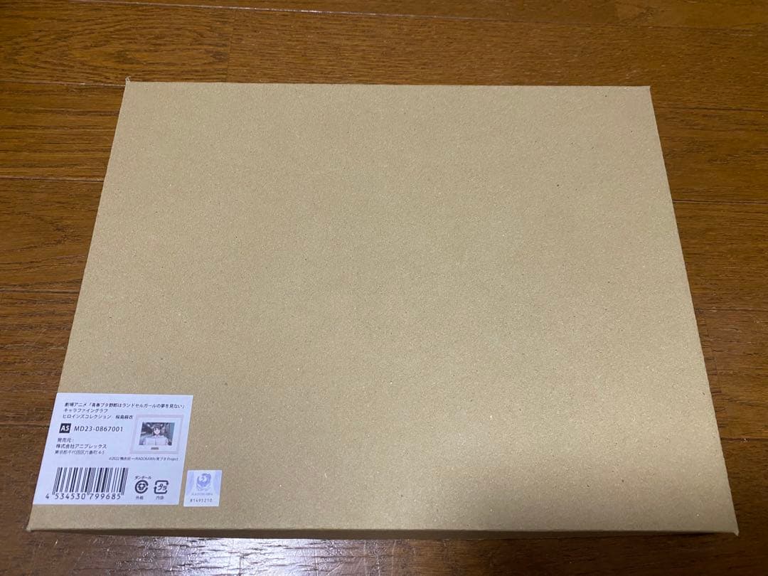 青ブタ キャラファイングラフ 桜島麻衣