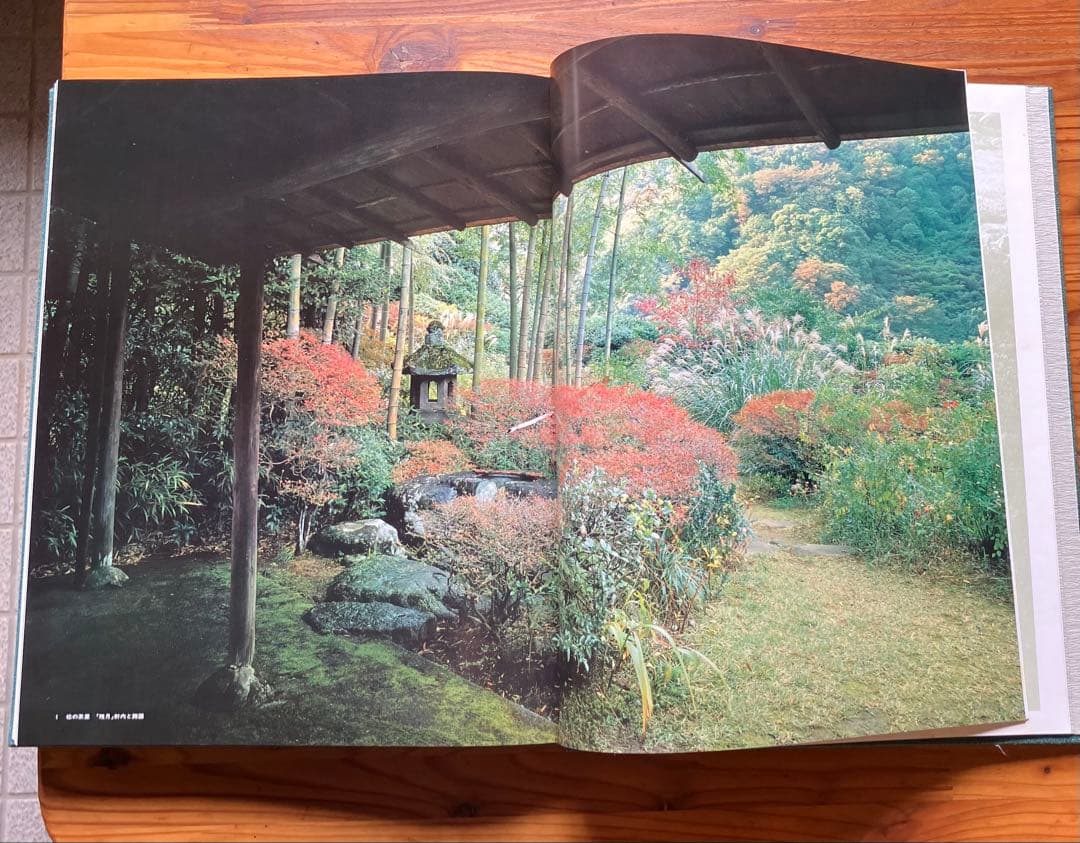 数寄の庭 日本庭園協会 大型本