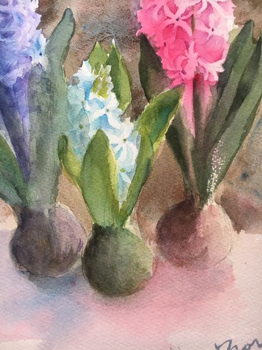 水彩画原画ヒヤシンス