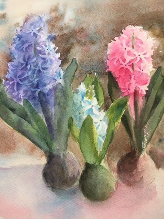 水彩画原画ヒヤシンス