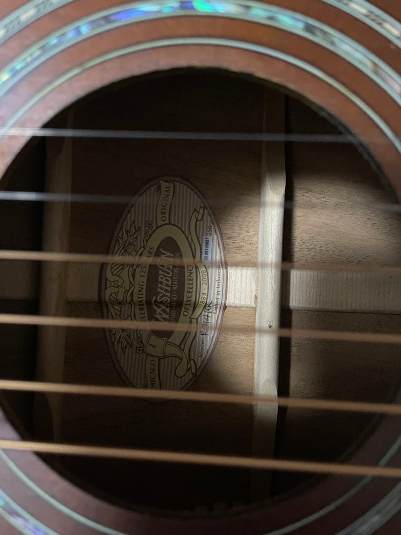 Washburn アコースティックギター ハードケース付き　つるの剛士サイン入り