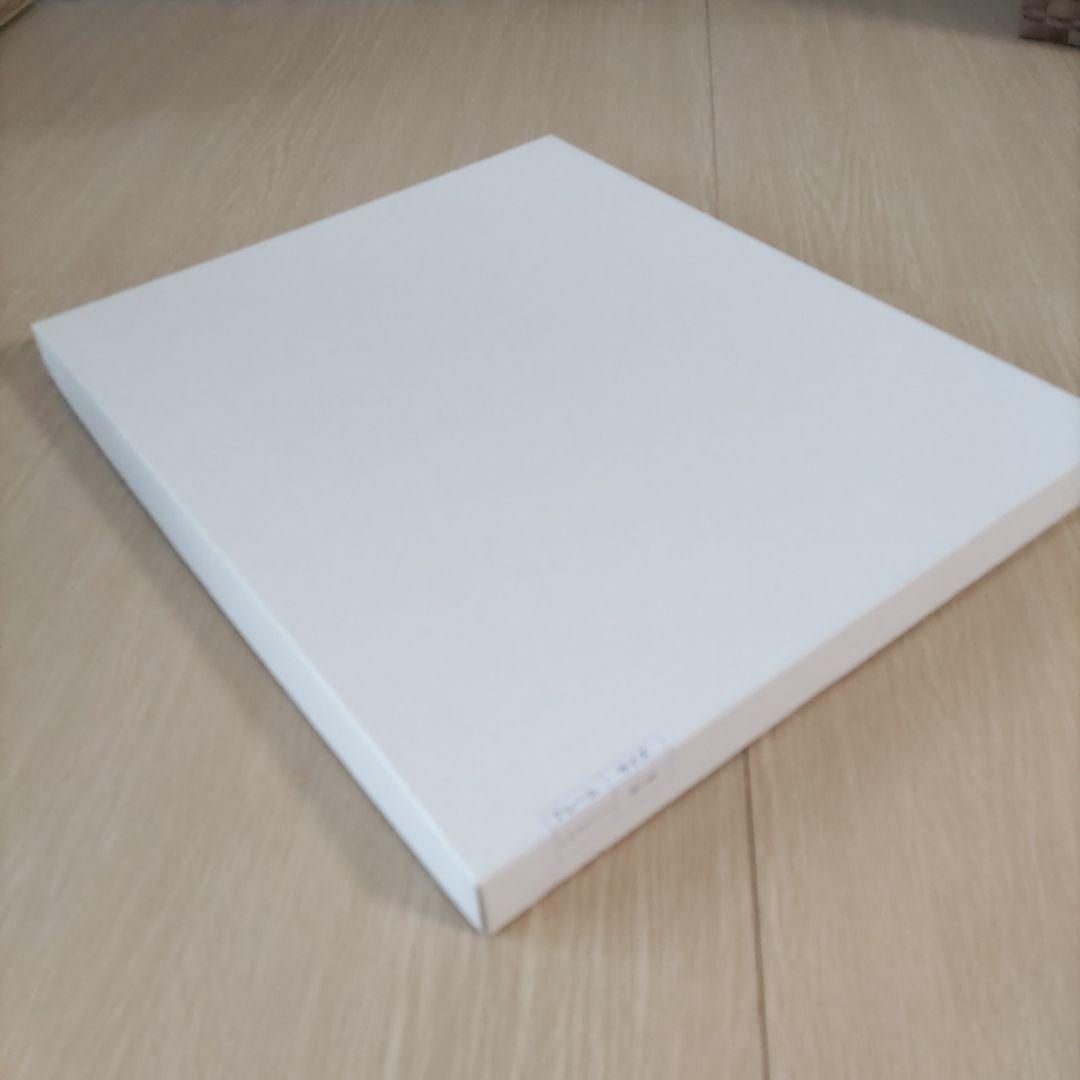 東京ディズニーリゾート 35周年額装品 シルエットスタジオ