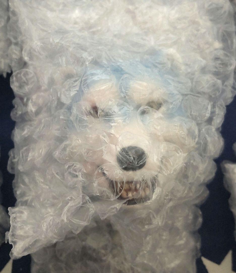 一番くじ マンウィズ H賞 フェイスマグネット 5種コンプセット