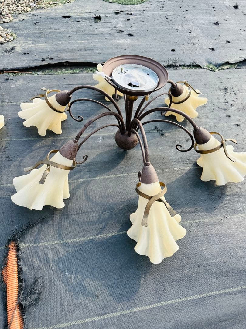 IDC フロストガラスシェードの6灯シャンデリア 大塚家具