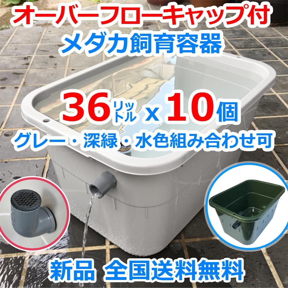 メダカ飼育ケース 36㍑x10個 色組み合わせ自由 オーバーフロー加工付