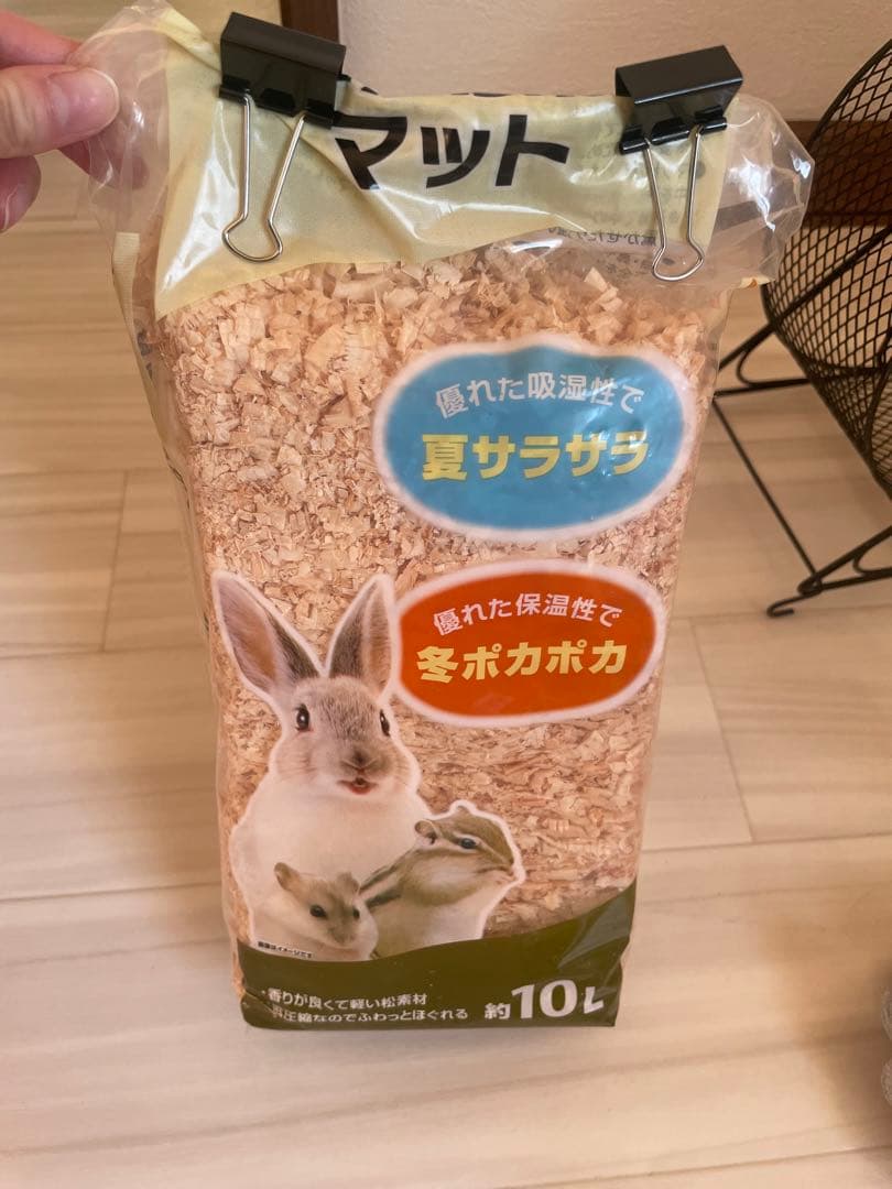 ハリネズミ小物セット